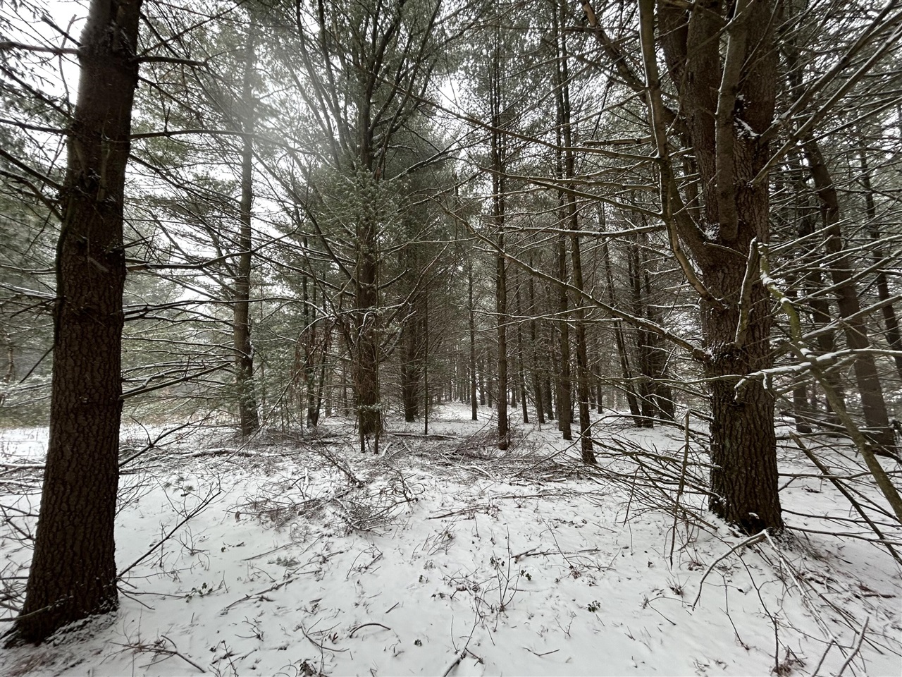 9530 Federal Road Property Photo 4