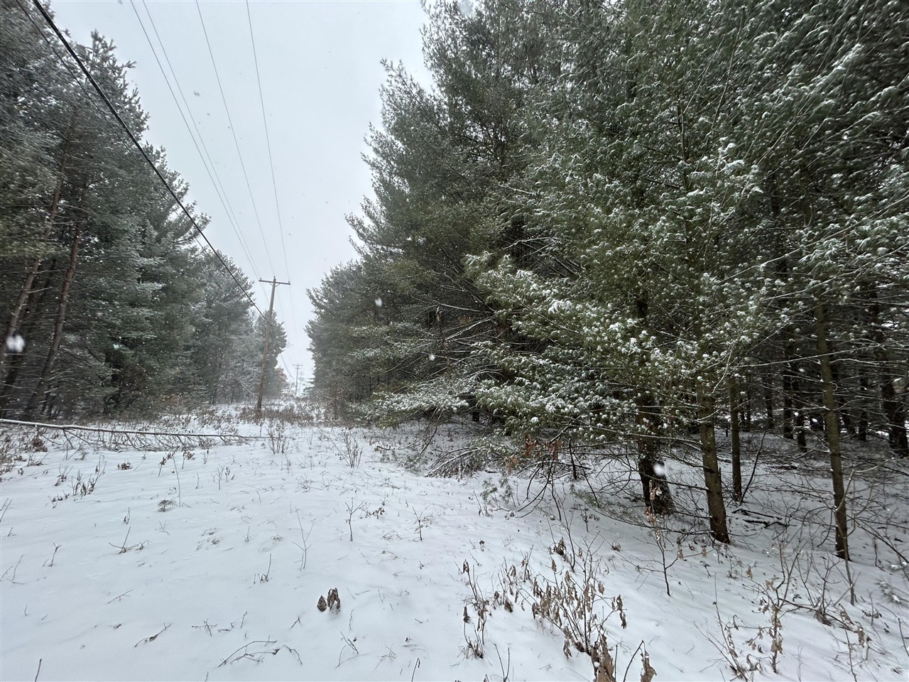 9530 Federal Road Property Photo 6