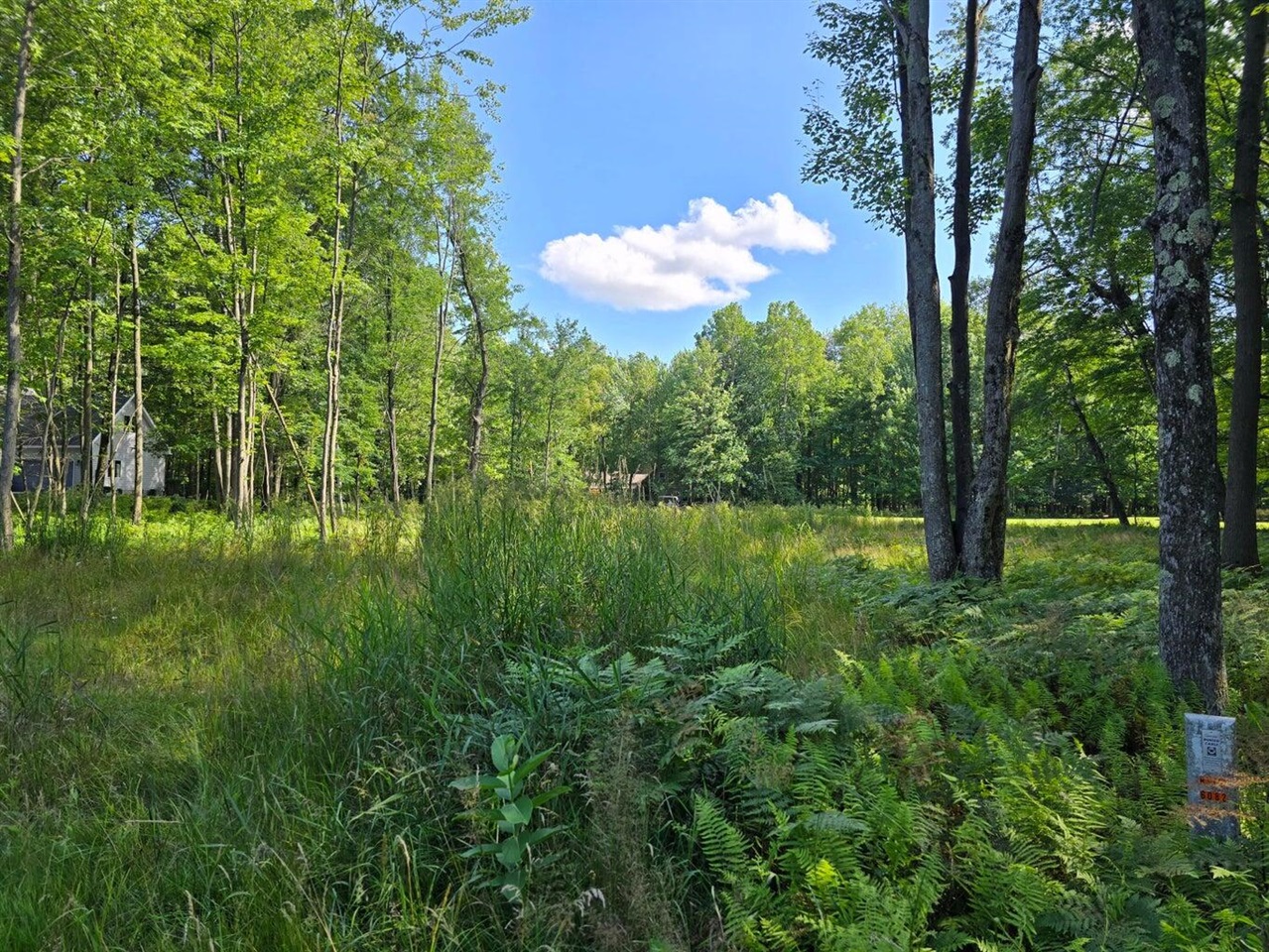 9397 Sunset Drive Property Photo 4