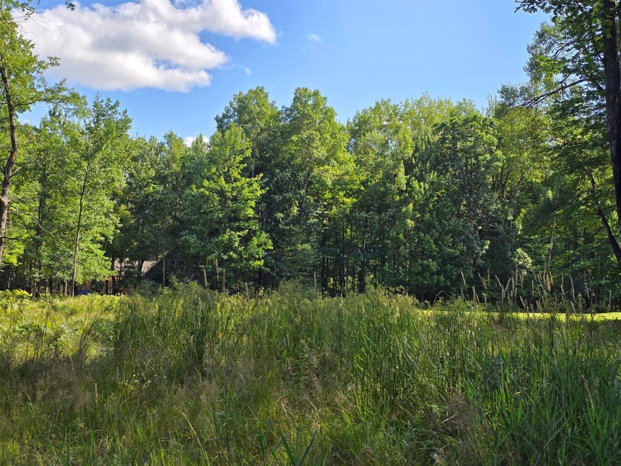 9397 Sunset Drive Property Photo 5