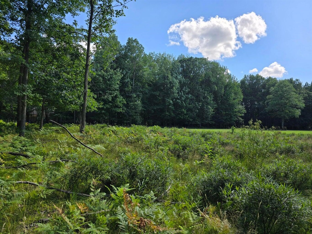9397 Sunset Drive Property Photo 6