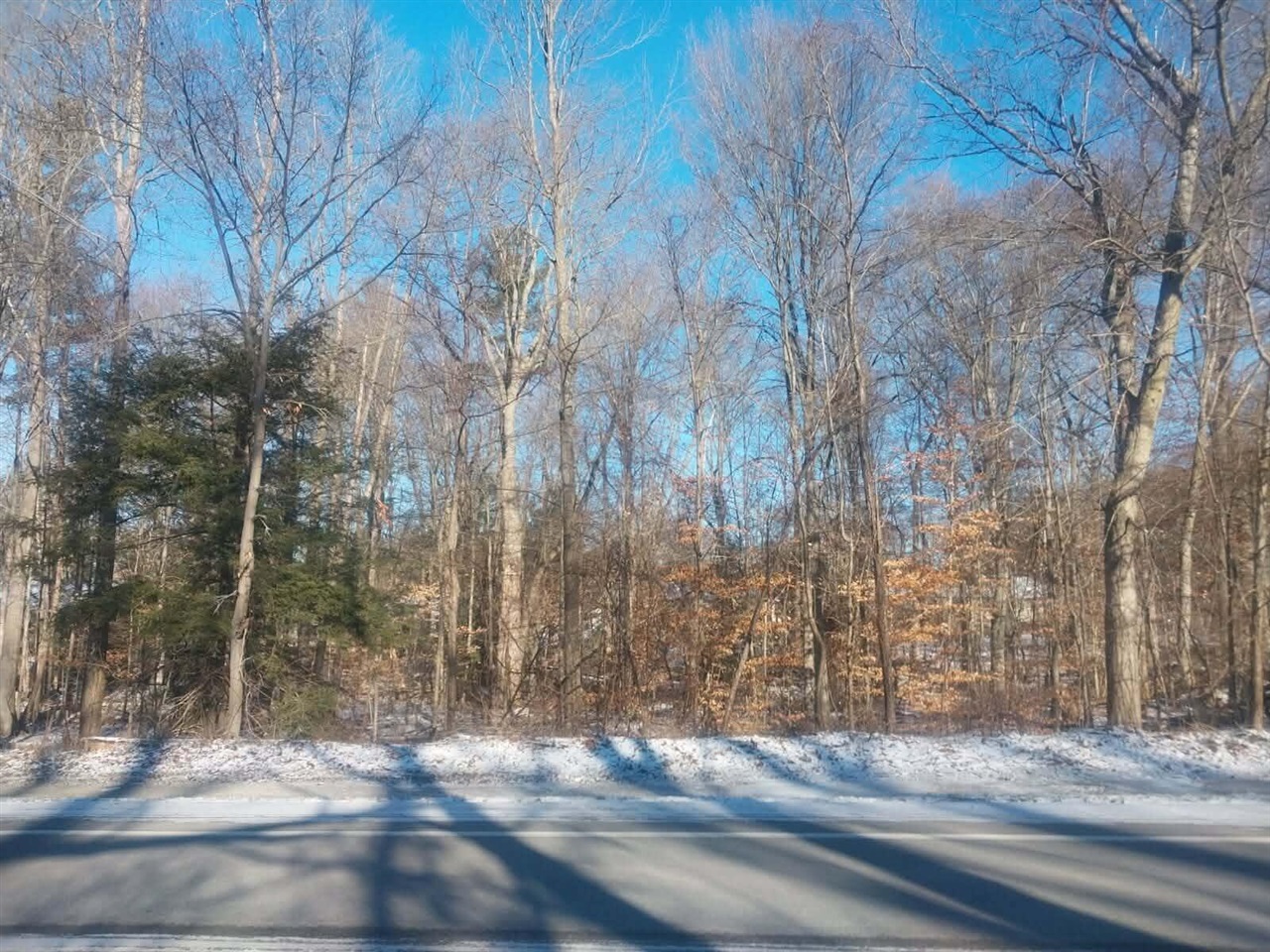Lot A 142nd Avenue Property Photo 1