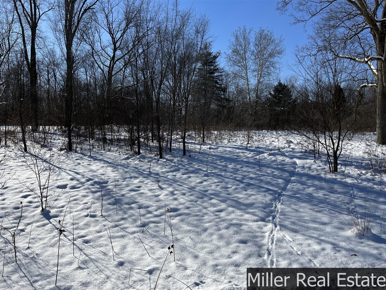 364 S M-37 Highway Property Photo 4