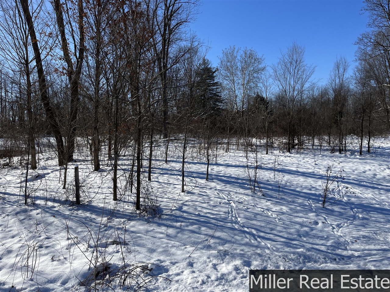 364 S M-37 Highway Property Photo 5