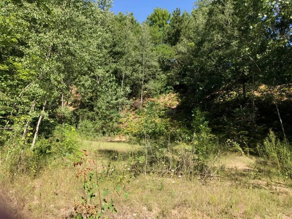 Lots 8 & 9 S Riverview Drive Property Photo 1