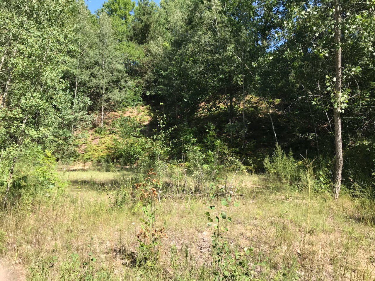 Lots 10&11 S Riverview Drive Property Photo 1