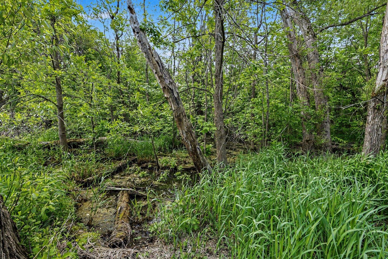 5494 Old Pipestone Road Property Photo 12