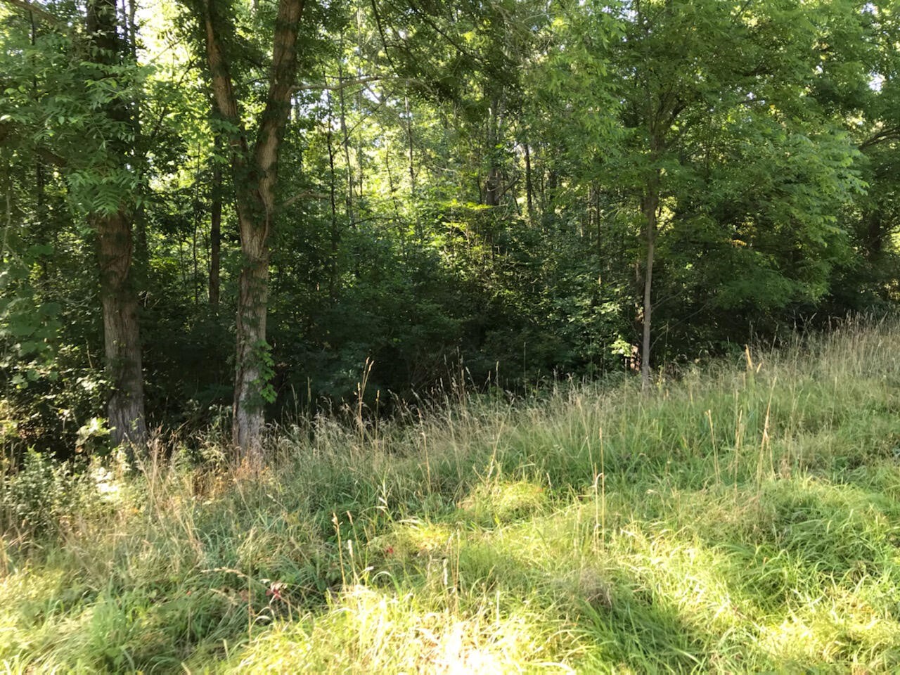 37111 Paw Paw Road Property Photo 1