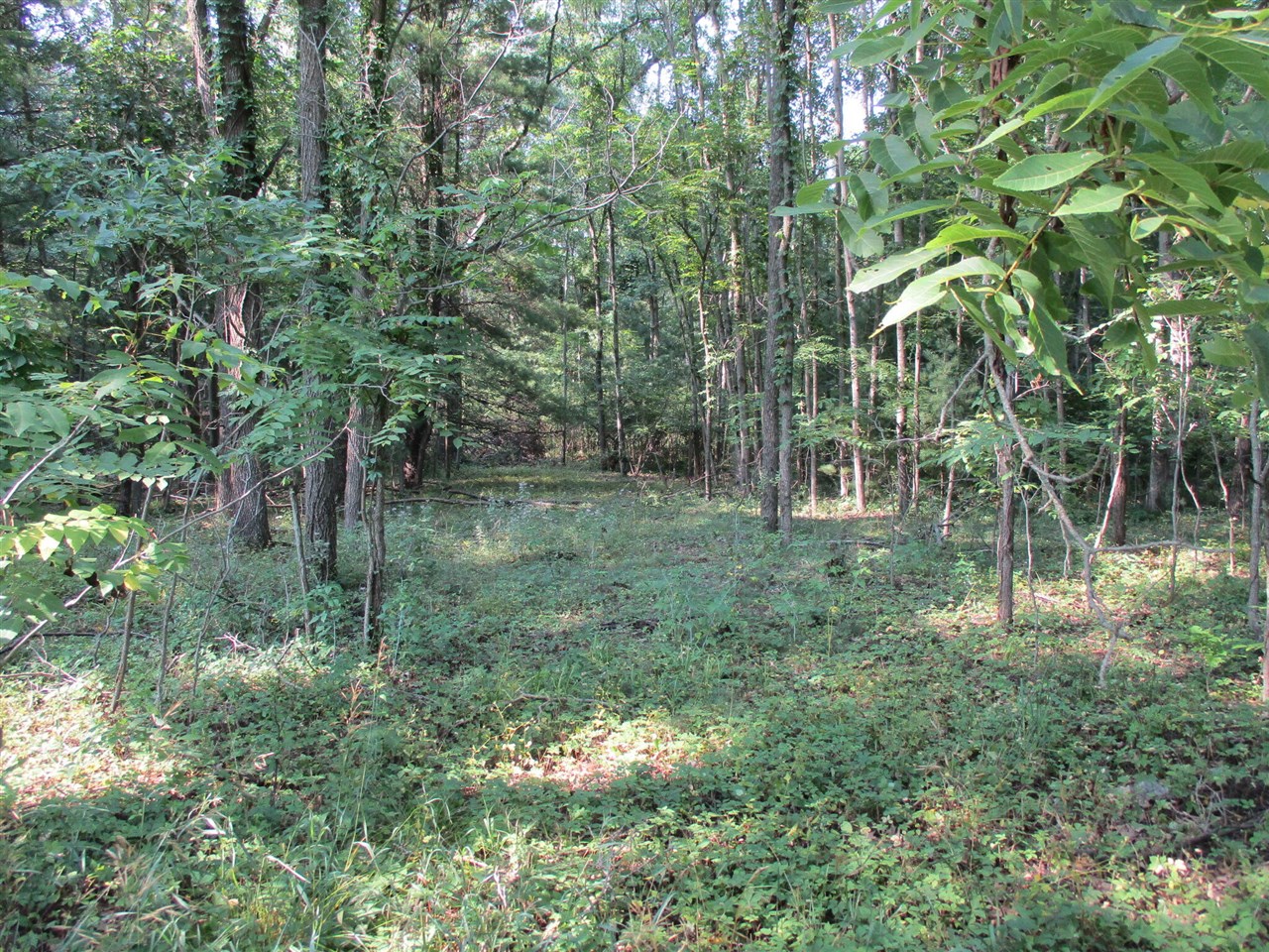 105th Avenue Property Photo 1