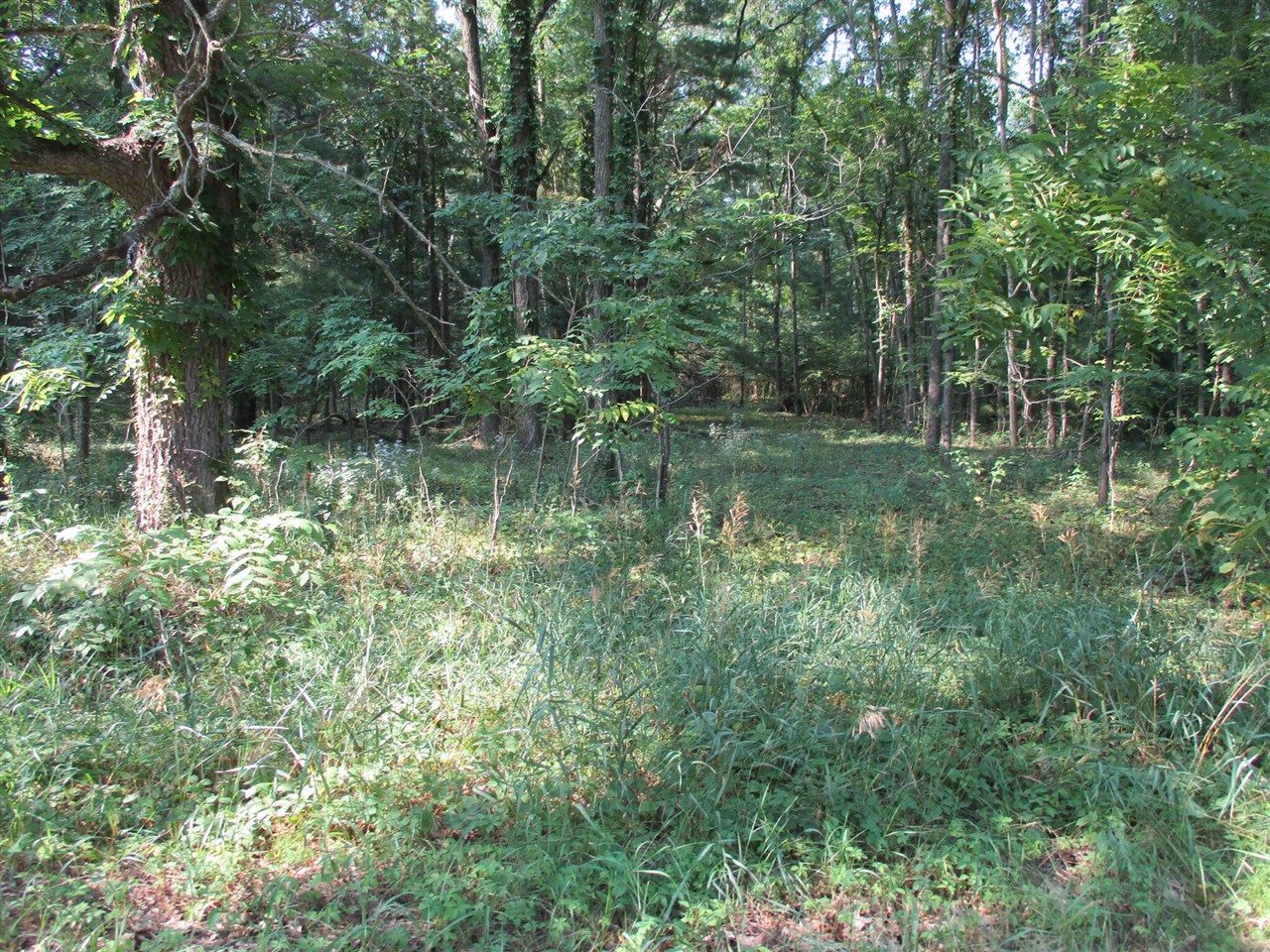 105th Avenue Property Photo 2