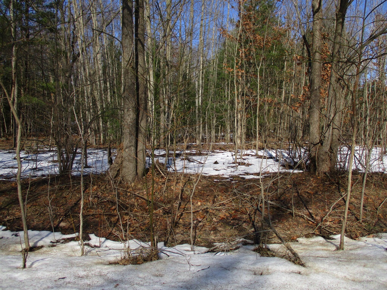 105th Avenue Property Photo 7