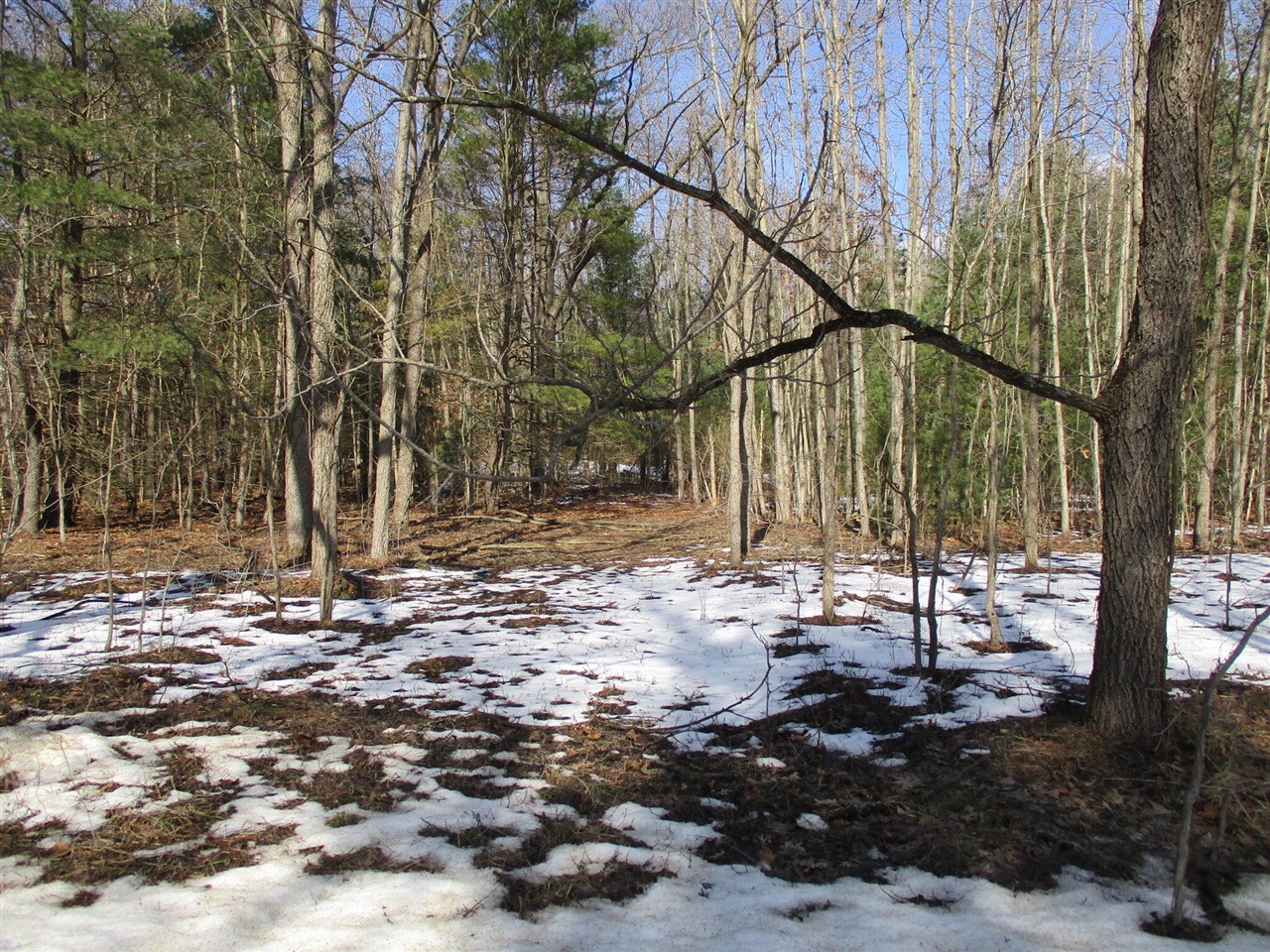 105th Avenue Property Photo 10