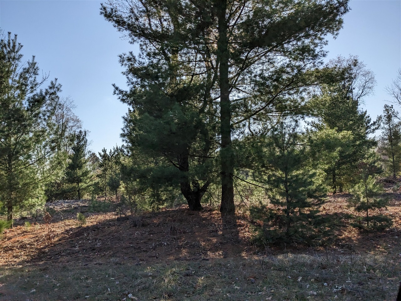 Jussi Street Property Photo 12