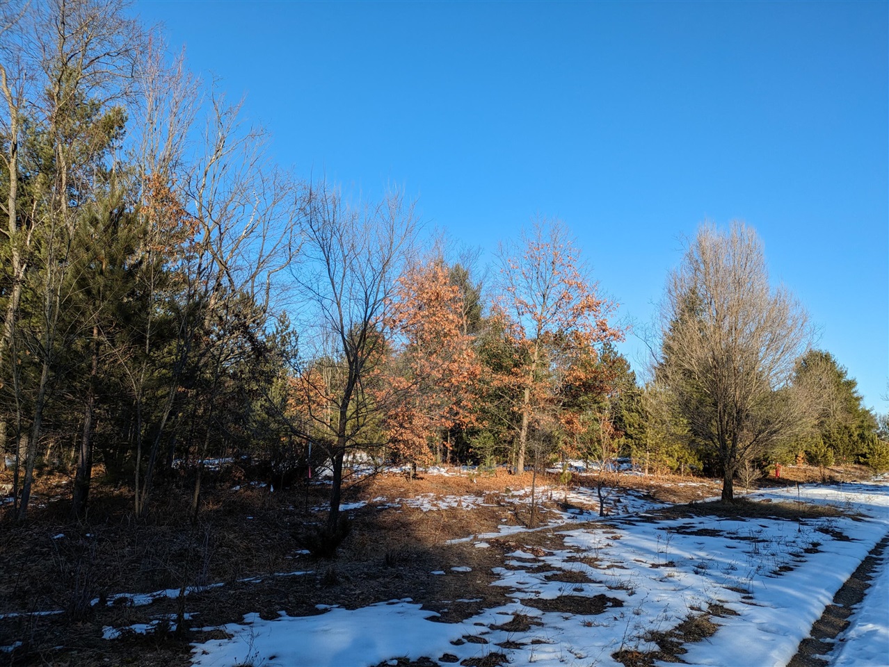 Bergstrom Drive Property Photo 1
