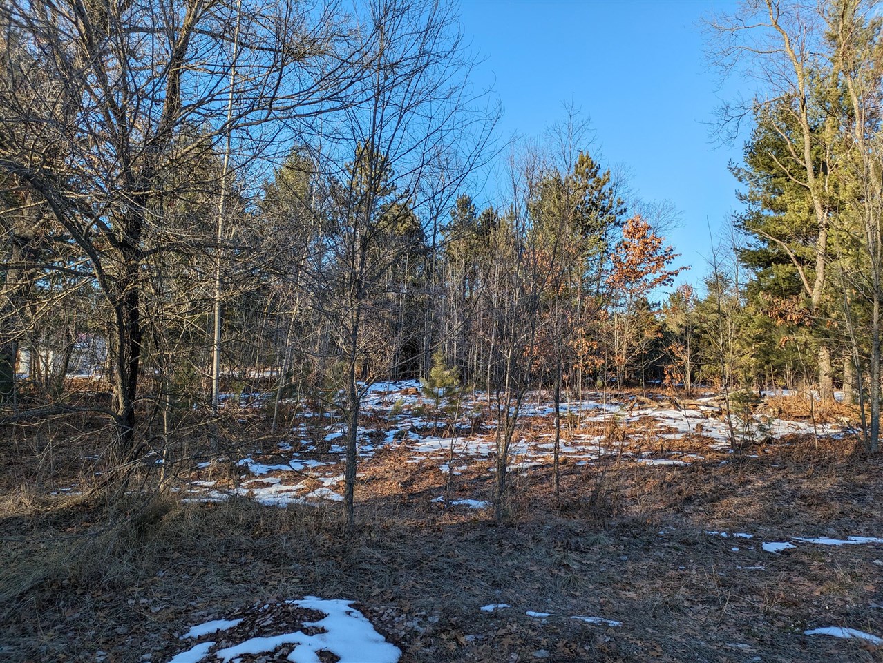 Bergstrom Drive Property Photo 2