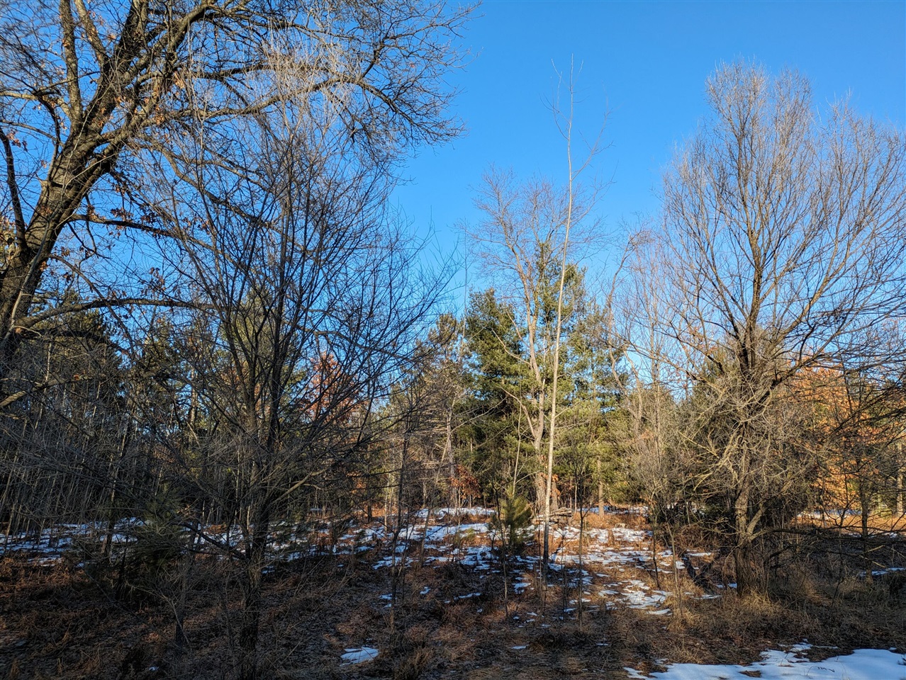 Bergstrom Drive Property Photo 1