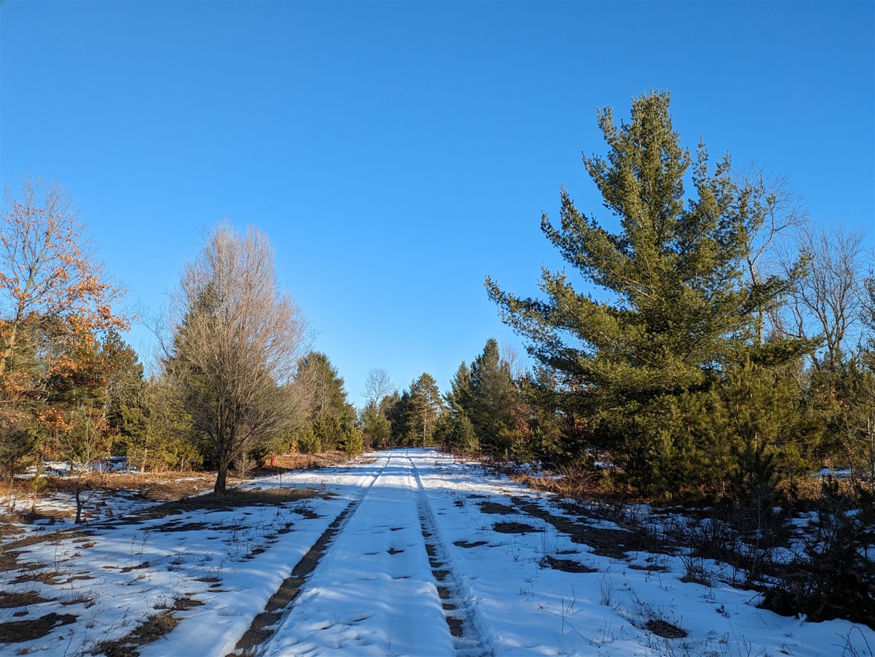 Bergstrom Drive Property Photo 2