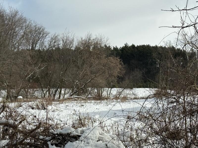 7628 N Marble Road Property Photo 1