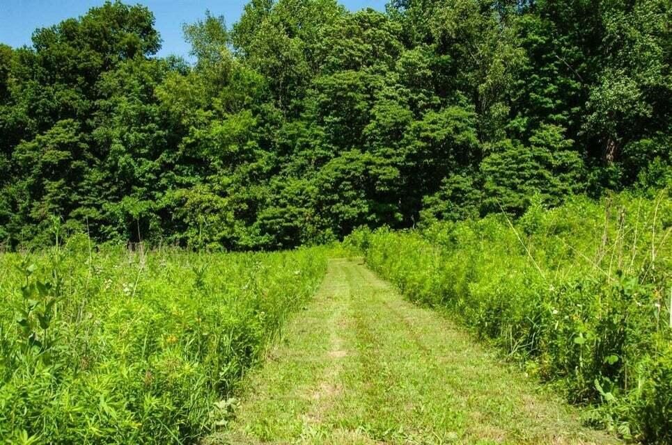 6863 N Nature Lane Property Photo 7