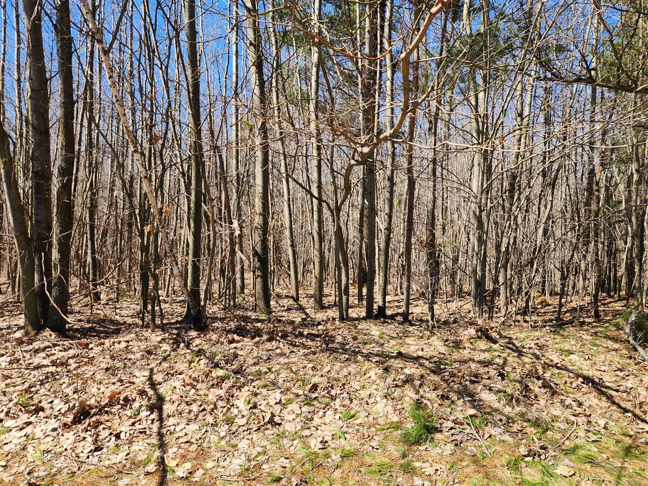 W Starlight Ridge Circle Property Photo 1