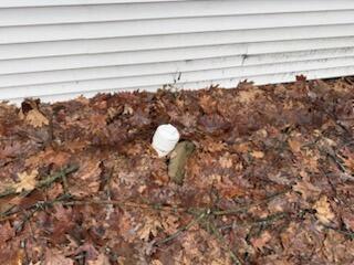 11671 Heron Drive Property Photo 20
