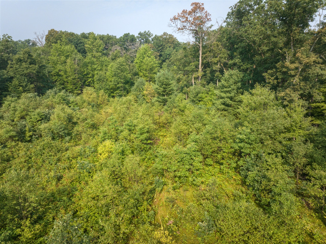21578 Jefferson Road Property Photo 17