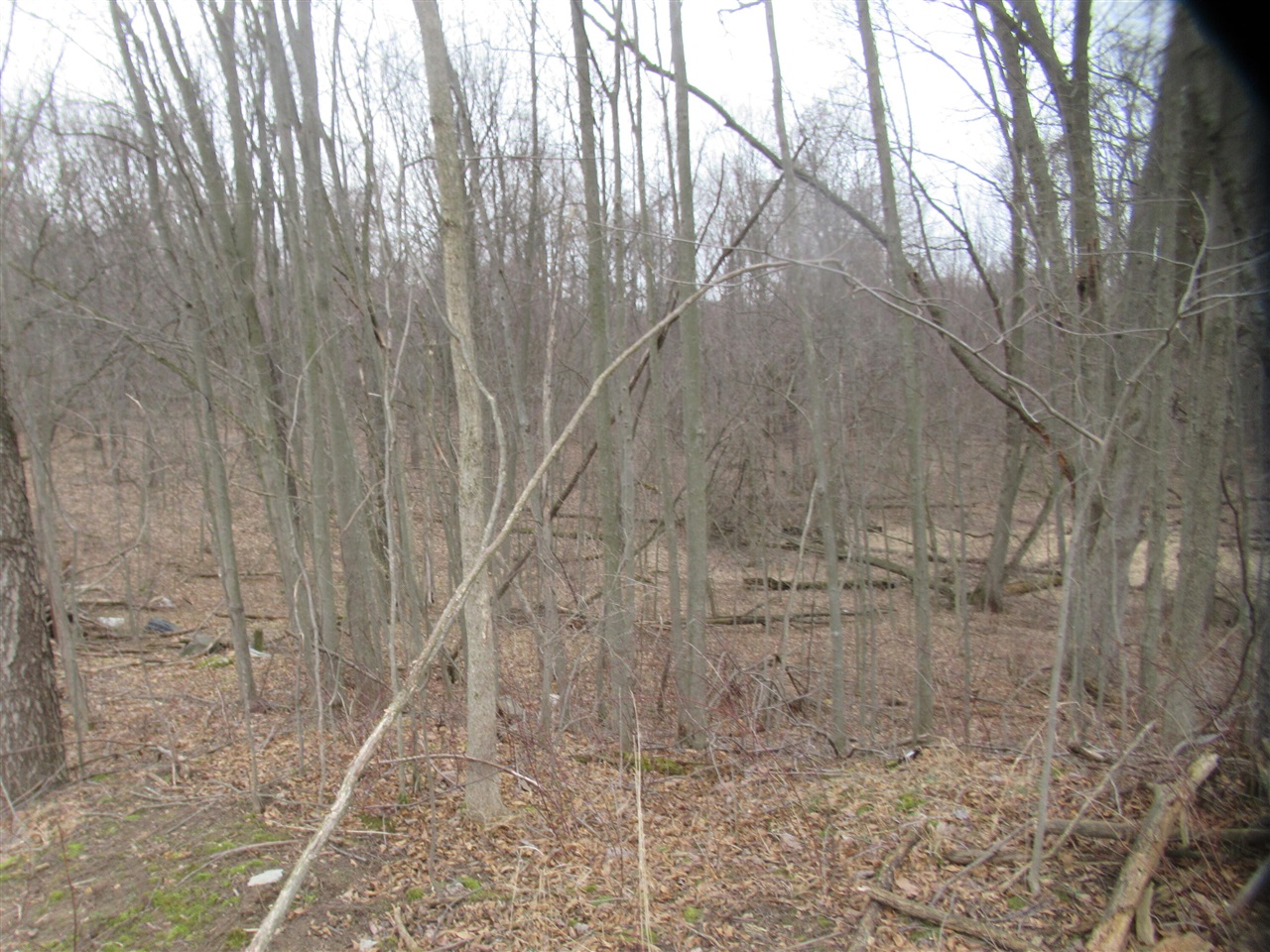 Williamsville Street Property Photo 1