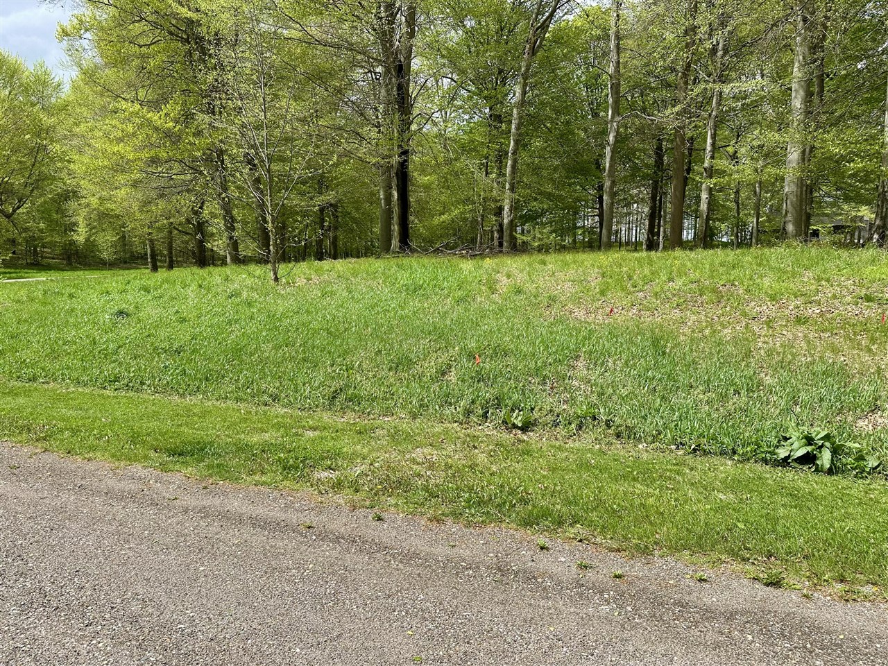 8828 Beechwood Court Property Photo 1