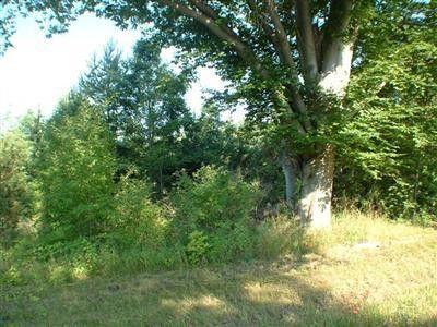 5893 W Austrian Pine Lane Property Photo 1