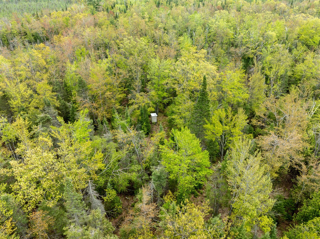 1408 Turtle Lake Road Property Photo 42