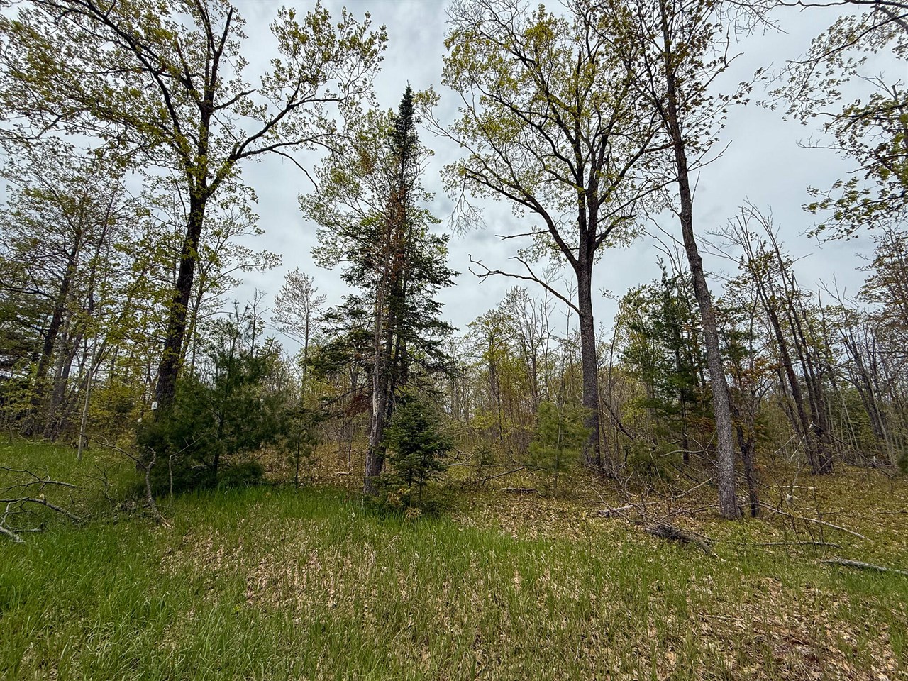 1408 Turtle Lake Road Property Photo 53