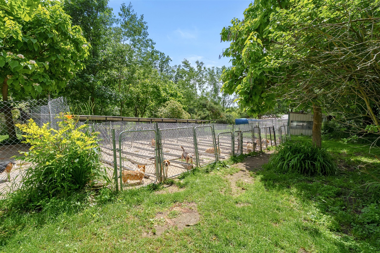 35553 M 43 Property Photo 59