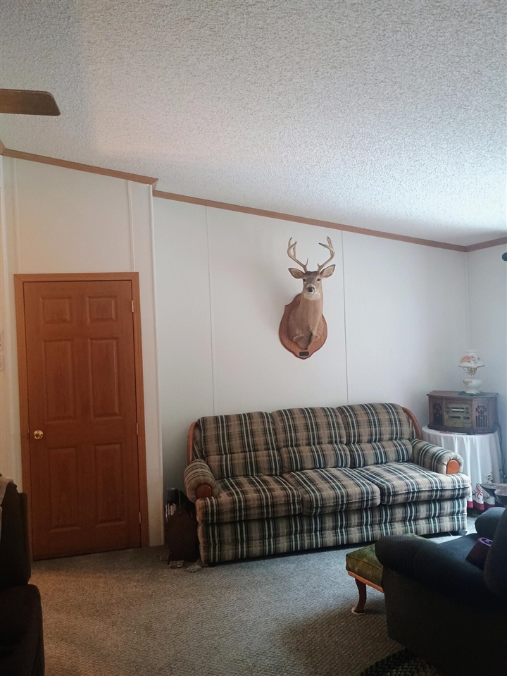 167 Mill Road Property Photo 5