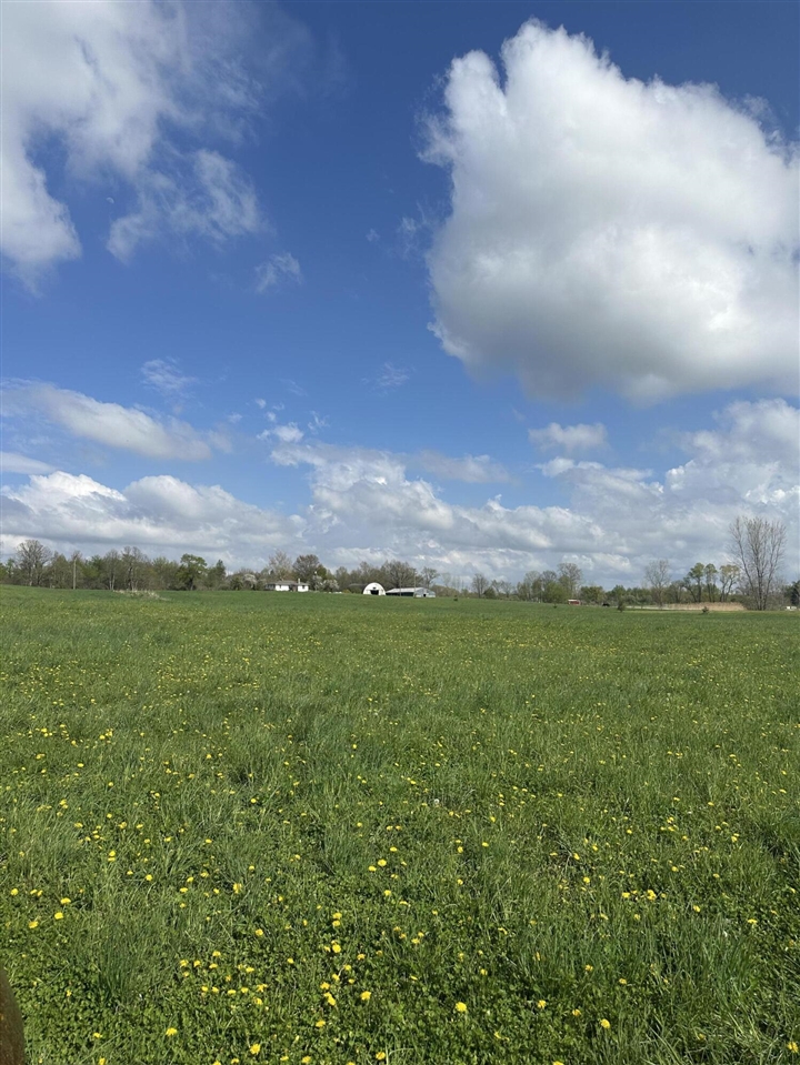 6045 Herrington Road Property Photo 5