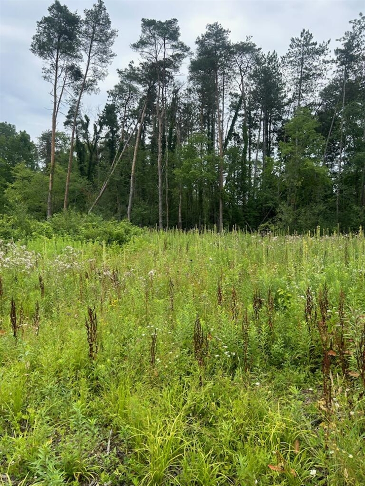 6130 Thornapple River Drive Property Photo 3