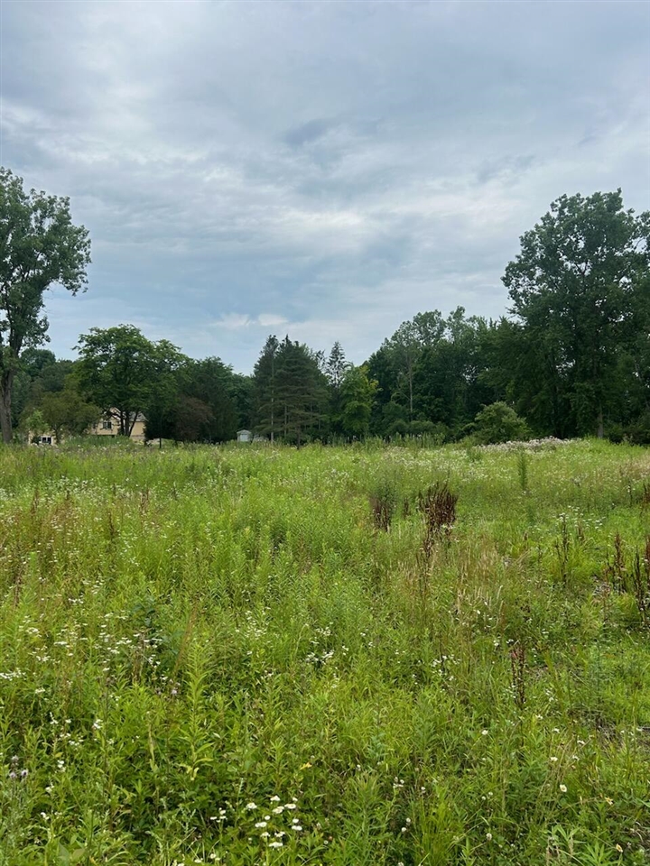 6130 Thornapple River Drive Property Photo 4