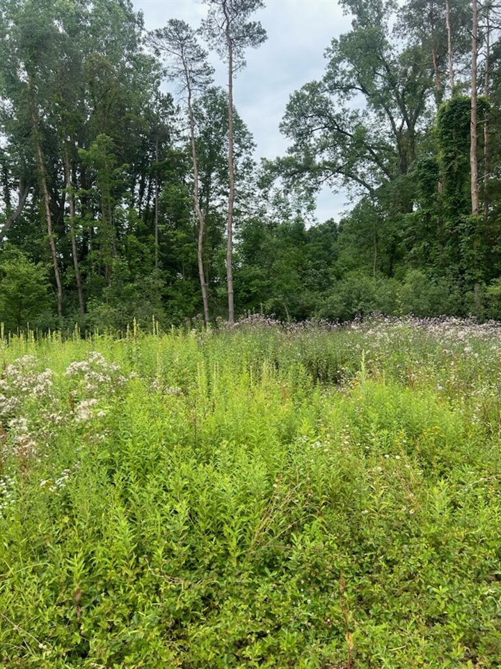 6130 Thornapple River Drive Property Photo 5