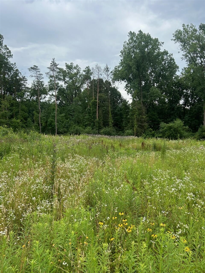 6130 Thornapple River Drive Property Photo 7