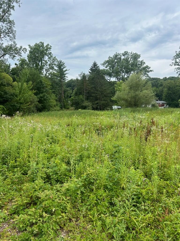 6130 Thornapple River Drive Property Photo 8