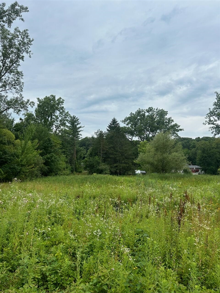 6130 Thornapple River Drive Property Photo 9
