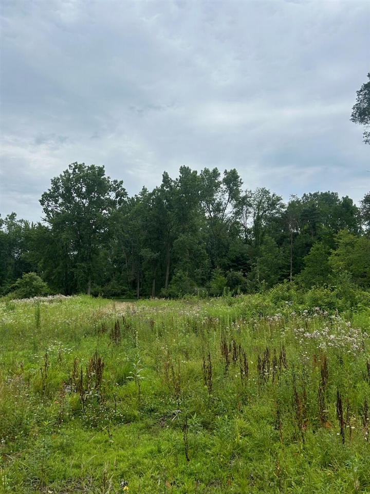 6130 Thornapple River Drive Property Photo 10