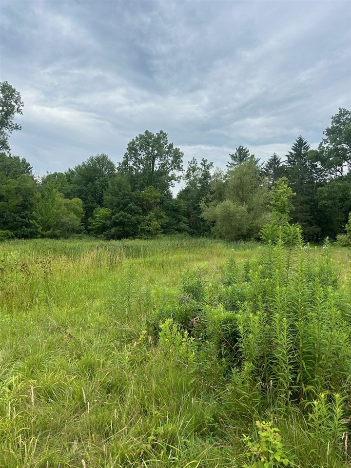6130 Thornapple River Drive Property Photo 12