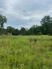 6130 Thornapple River Drive Property Photo 13