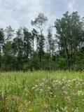 6130 Thornapple River Drive Property Photo 15