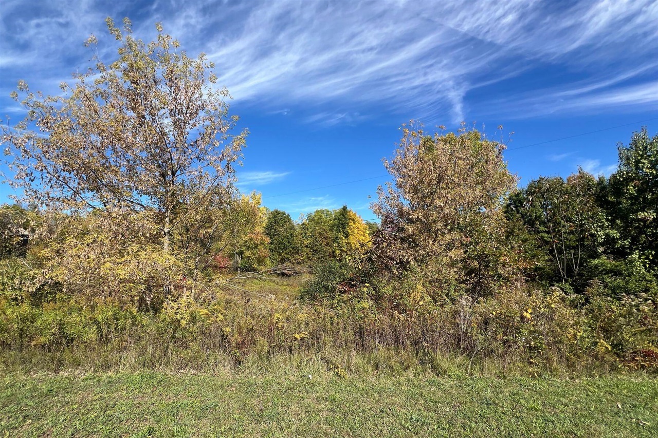 5577 Cannon Meadows Drive Property Photo 18