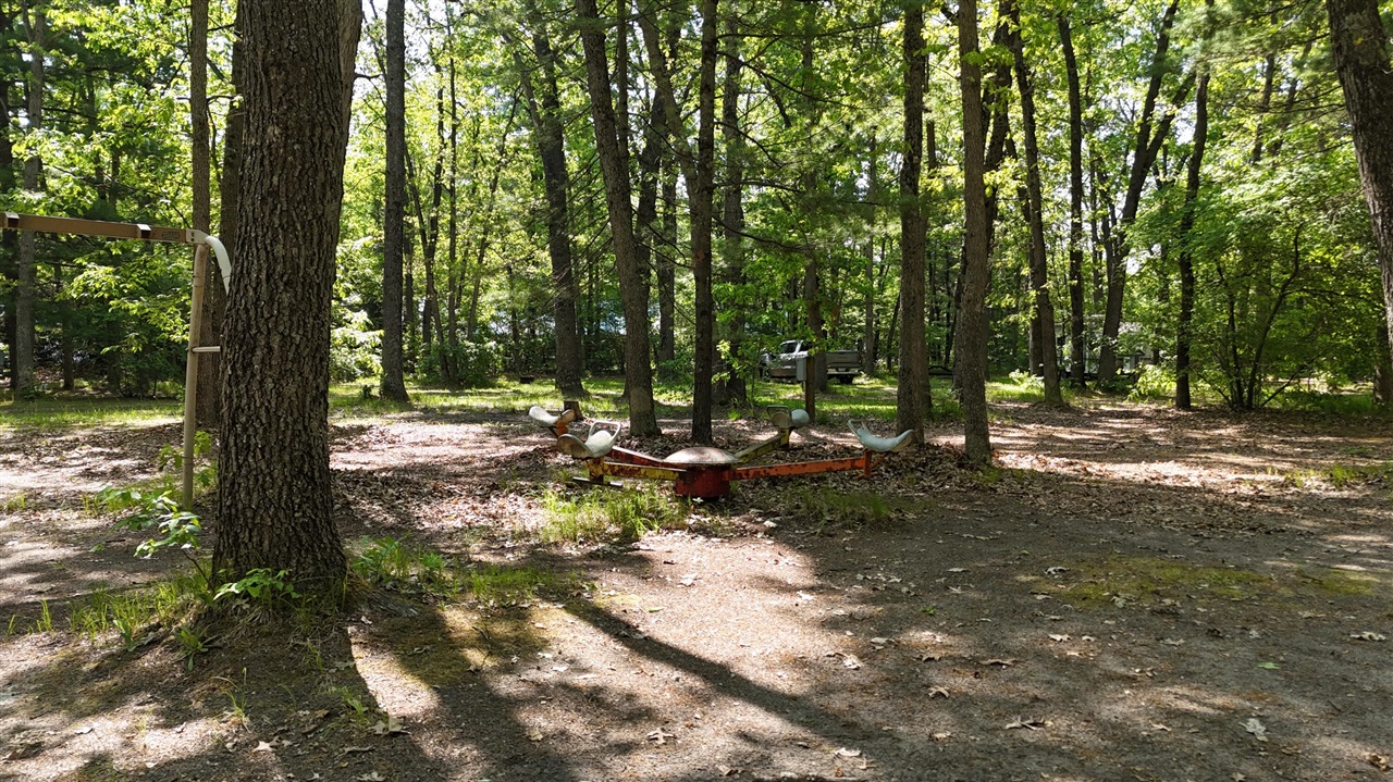 13544 Caberfae Highway Property Photo 17