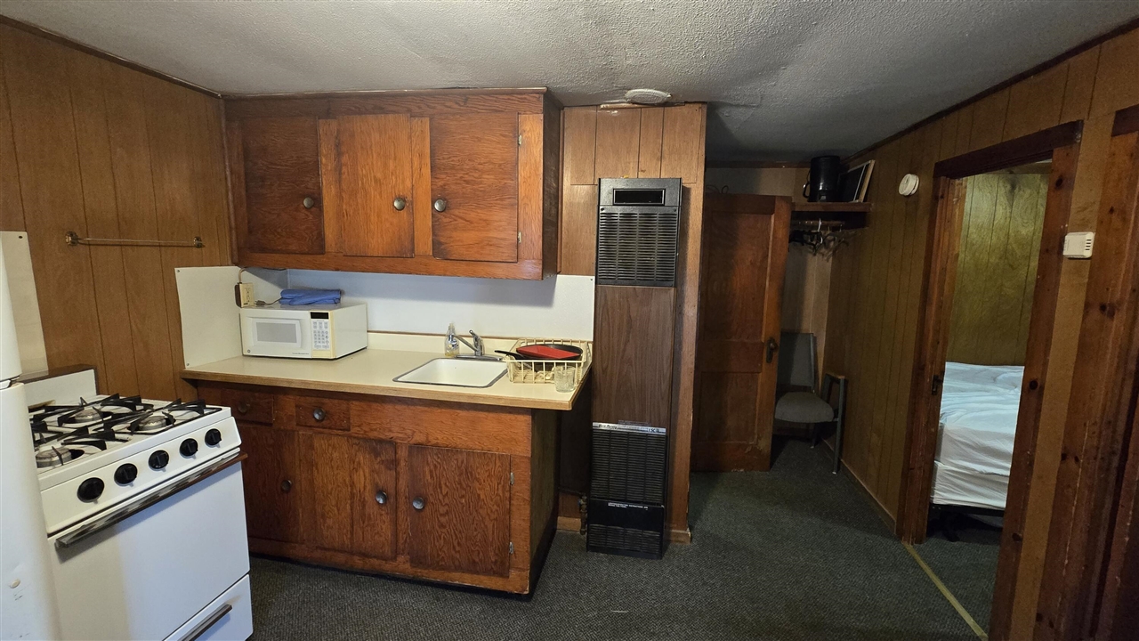 13544 Caberfae Highway Property Photo 39