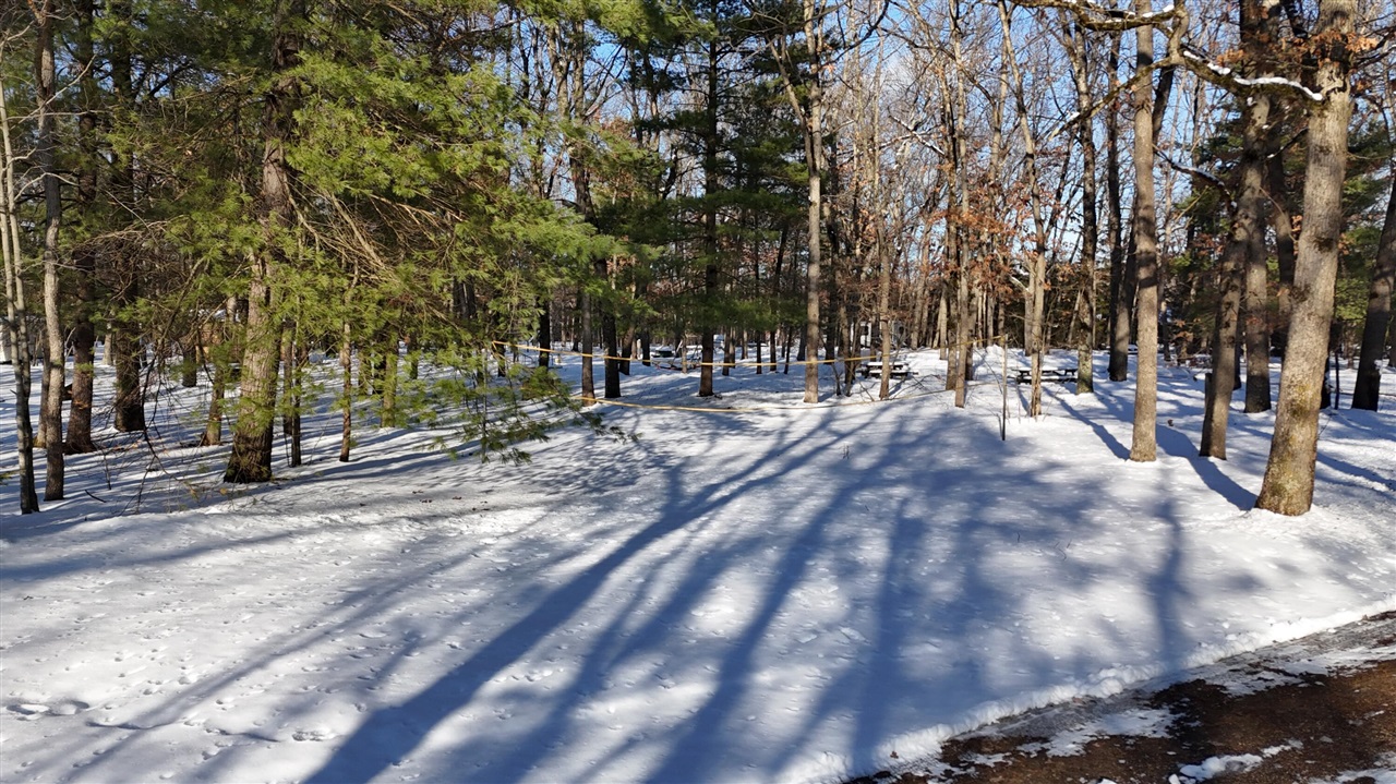 13544 Caberfae Highway Property Photo 71