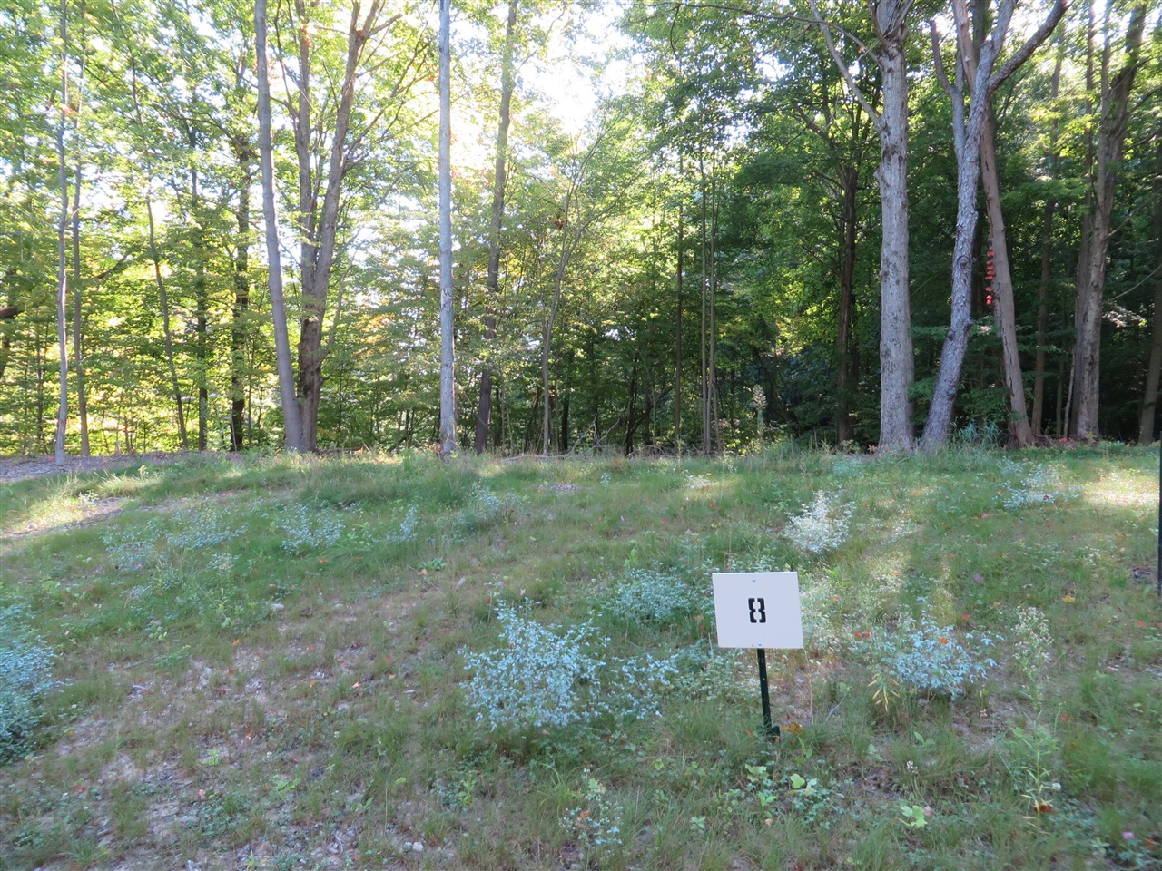 8700 Rainbows End Court Property Photo 4