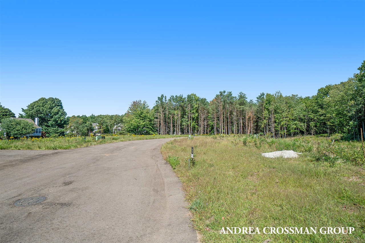 17438 Bellgate Lane Property Photo 8